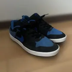 《値下不可！即発送！》NIKE SB アリウープ 27cm 新品 黒/青