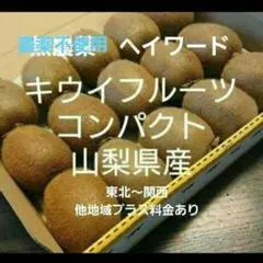 7キウイフルーツ　農薬不使用　わけあり　コンパクト　山梨県産