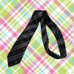 花ざかりの君たちへ イケメン♂パラダイス イケパラ ネクタイ 平成 y2k