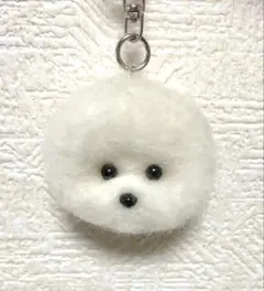 Item thumbnail for item 9e0ce4be-c9e6-43e0-90b4-af67b38e7525