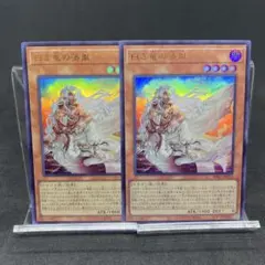 遊戯王　白き竜の落胤　ウルトラ　2枚