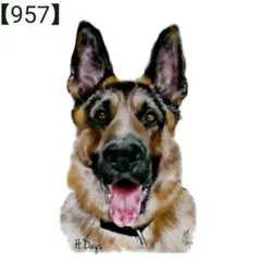 【957】転写 ステッカー シール デカール シェパード 犬 動物 車 装飾