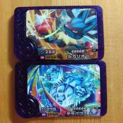 ポケモンフレンダ ルカリオ テラパゴス フレンダピック セット 第5弾