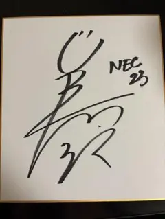 女子バレーNECレッドロケッツ山田二千華選手 直筆サイン色紙 全日本