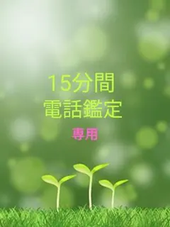 ❀専用です❀★15分間電話鑑定★