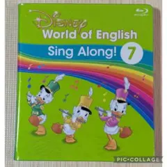 Item thumbnail for item 896e2c2f-a88f-4d72-ba2b-49b89973ba63