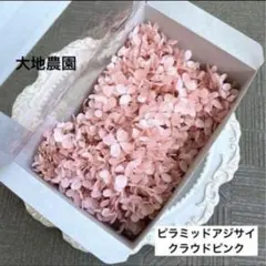 eru ✿3月10日発送予定様 リクエスト 2点 まとめ商品