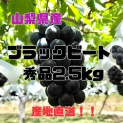 山梨県産】ブラックビート秀品5kg 産地直送 - メルカリ