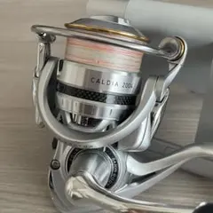 2026年最新】ダイワ daiwa 11カルディア 2500の人気アイテム - メルカリ