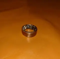 Item thumbnail for item 2926956f-b265-473b-af64-d564a947dc25