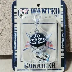 キャラフォーチュンプラス　海賊戦隊ゴーカイジャー　お宝占い★　ゴーカイシルバー