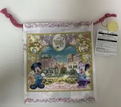 東京ディズニーシー ファンタジースプリングス ホテル 巾着