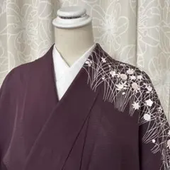 絽 訪問着 夏物 透け感 居敷当て付き 正絹 躾糸付き G037 - メルカリ