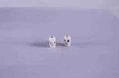 s-5 アリゾナスカル　材料2セット