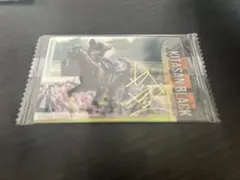 2026年最新】武豊 サインの人気アイテム - メルカリ