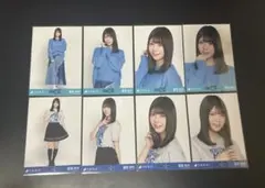 欅坂46 櫻坂46 生写真 まとめ売り 菅井友香 欅宣言 2016 April - メルカリ