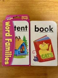 TREND Pocket Flash Cards Word Familiesのサムネイル