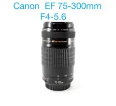 2026年最新】Canon LENS EF 75-300mm 1:4-5.6の人気アイテム - メルカリ