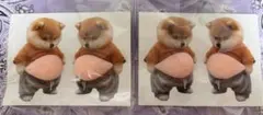 2個セット(4個入り) 柴犬 お腹ぷにぷにシール 3Dシールステッカ