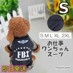 Item thumbnail for item 828b5e50-3a19-4d07-9474-99df2208157d