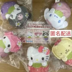 ☆匿名配送☆ 全5種 サンリオキャラクターズ いちごおくるみマスコット