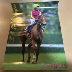 ヒーロー列伝 テイエムオペラオー 和田騎手サイン入り - メルカリ