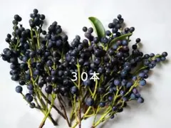 シャリンバイの実　まとめて30本セット