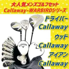 【大人気】キャロウェイ メンズ ゴルフクラブ 初心者 フルセット11本