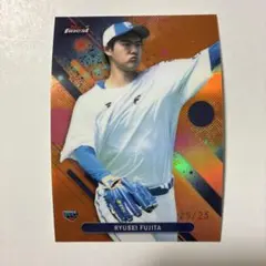 Item thumbnail for item 9b2673c1-cb58-438c-bfe1-6b0c5f592c95