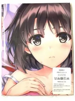 抱き枕カバー アニメ 冴えない彼女の育てかた加藤恵160cm×50cmA-7