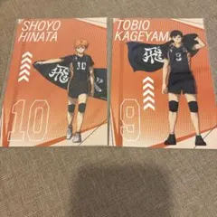 ハイキュープラザ　日向翔陽　影山飛雄　特典　ポストカード