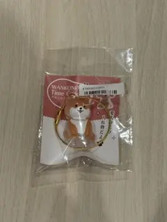 わんこのタイムカプセル まめ ガチャ 柴犬