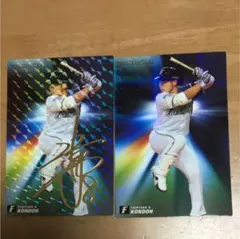 プロ野球チップス 北海道日本ハムファイターズ 近藤健介