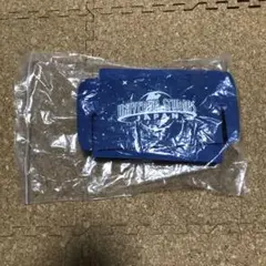 Item thumbnail for item d04072d9-421e-4b92-91d5-968b24ea6f2b