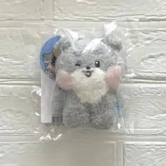 ZB1 zeroni ゴヌク　ゴニニ　ぬいぐるみ キーリング　メッセージ