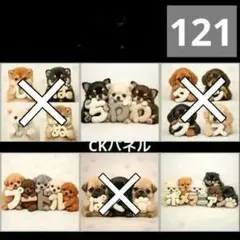 【121】CK様パネル　わんこ