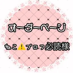 ねこ⚠️プロフ必読様専用ページ