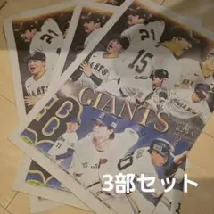東京ドームジャイアンツ オリックスバファローズ交流戦 配布版 新聞　スポーツ報知のサムネイル
