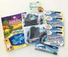 【新品】ANA 全日空　子供用グッズセットのサムネイル