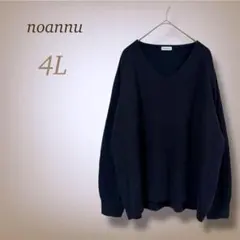 4L◎ノアンヌ ニット Vネック 長袖 プルオーバー シンプル 大きいサイズ