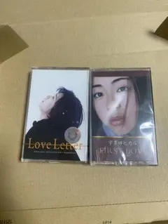 Item thumbnail for item 11304f6e-3636-4f12-b3ab-679b7b20e52e