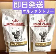 妻なのに旦那様用ライトロイヤルカナンユリナリーS/Oオルファクトリー