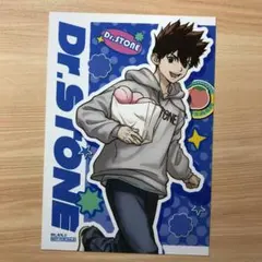 Dr.STONE マルイ くだもの狩り　特典プロマイド　クロム