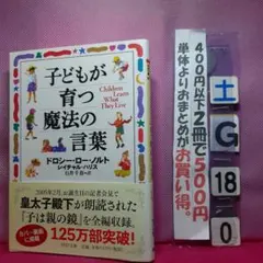 SttK3588様 リクエスト 2点 まとめ商品