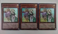 遊戯王 夢魔鏡の乙女-イケロス スーパーレア 3枚