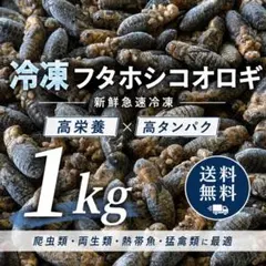 冷凍フタホシコオロギ 1kg / 冷凍コオロギのサムネイル