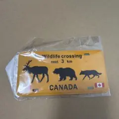 カナダ　お土産　ナンバープレート風　インテリア　雑貨