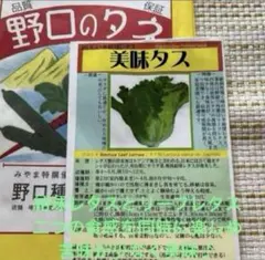 トモミ様 リクエスト 5点 まとめ商品