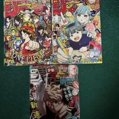 アニメージュ創刊号～VOL3 - メルカリ
