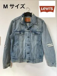 Item thumbnail for item bf70c7a5-048a-4ec9-84ca-419606017d95